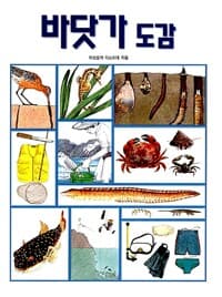 바닷가 도감