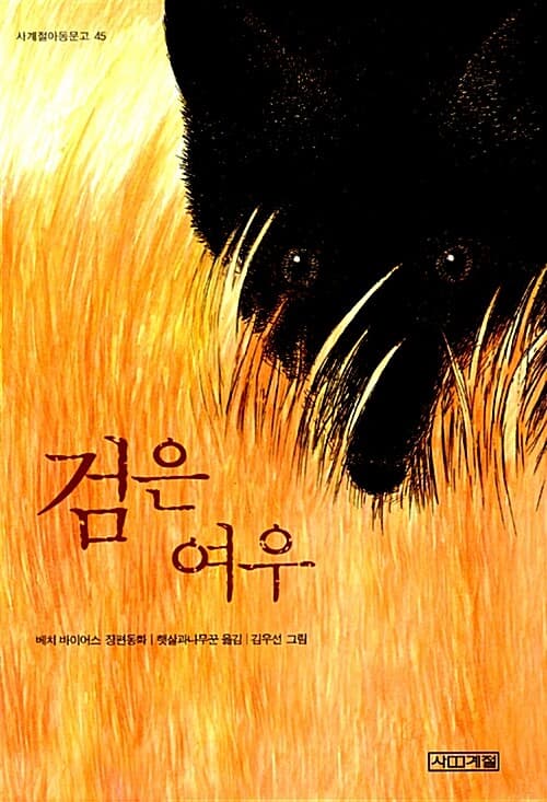 검은 여우 표지