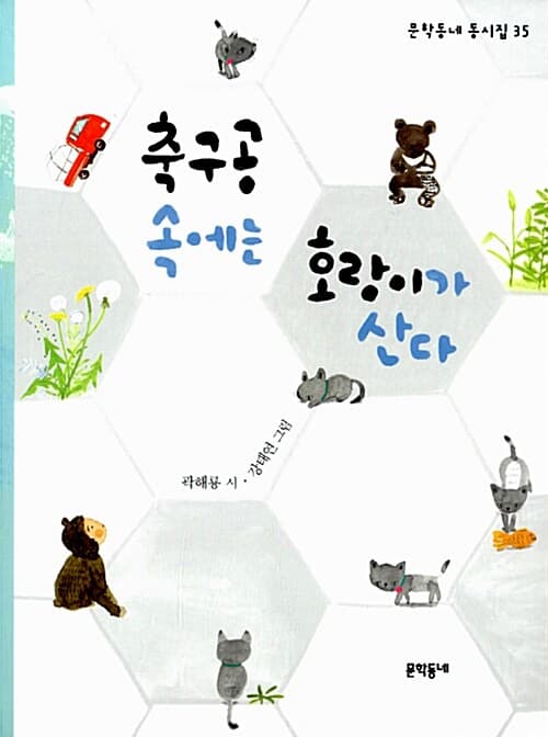 축구공 속에는 호랑이가 산다 표지