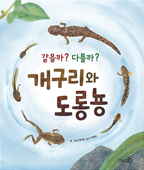 같을까? 다를까? 개구리와 도롱뇽 표지