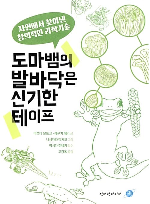 도마뱀의 발바닥은 신기한 테이프 -자연에서 찾아낸 창의적인 과학기술 표지
